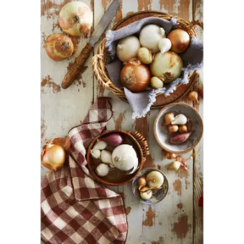 Onion (12)-7472181-5400.webp